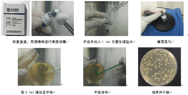 制藥行業中的隱形殺手-洋蔥伯克霍爾德菌群