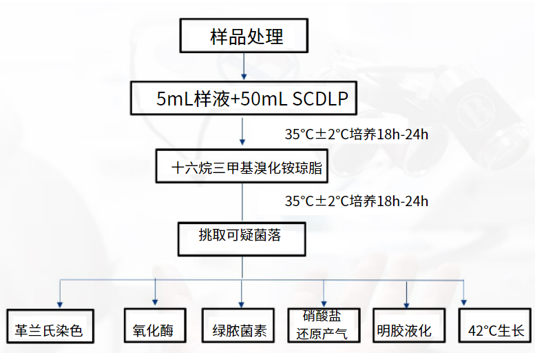 一次性衛生用品之綠膿桿菌檢測