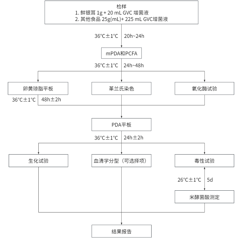 自帶“光環”的菌——唐菖蒲伯克霍爾德氏菌（下）