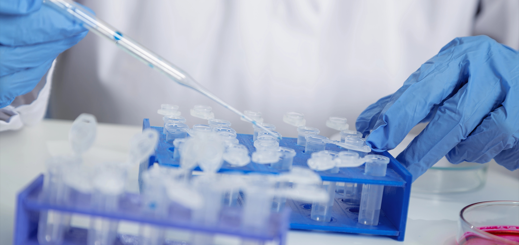 北京陸橋邀請您參加2025 AOAC食品檢測技術與標準研討會（2025年3月·深圳）