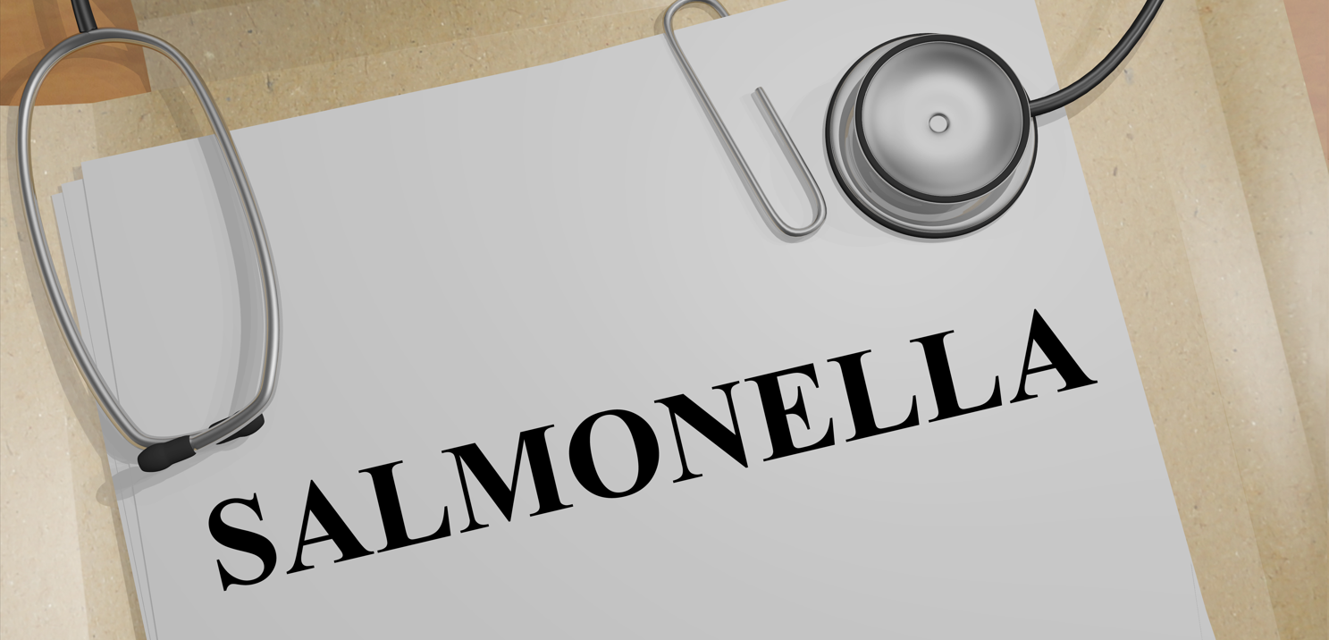 沙門檢測新助手—沙門氏+顯色培養基