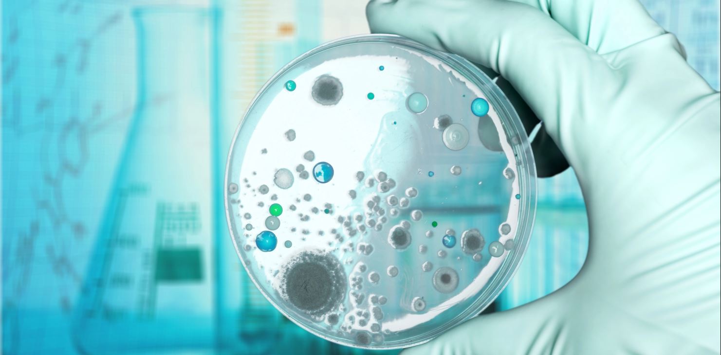 北京陸橋邀您參加第九屆制藥工業微生物技術大會（2025年5月·杭州）