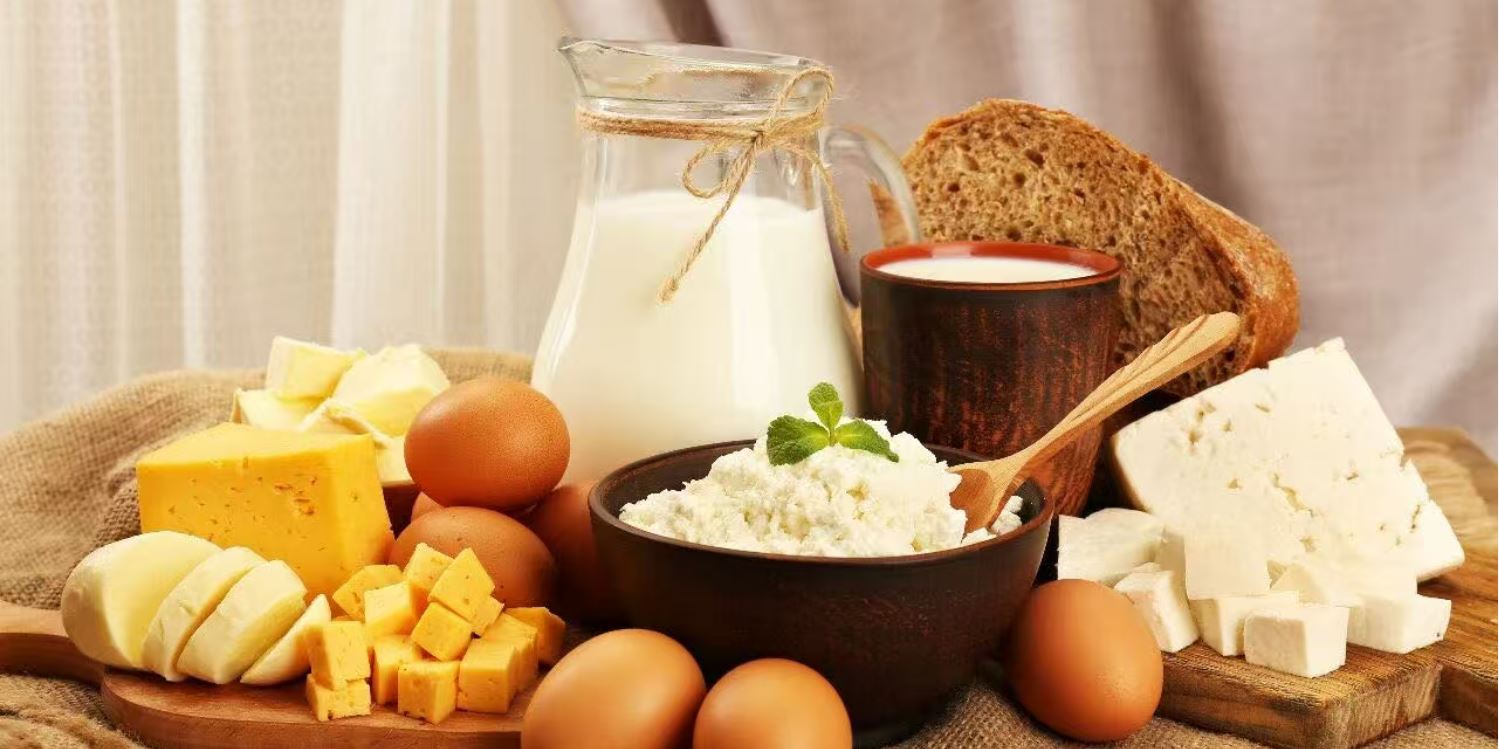 期待與您相約 CBIFS第十八屆食品安全技術論壇——共筑食安新防線